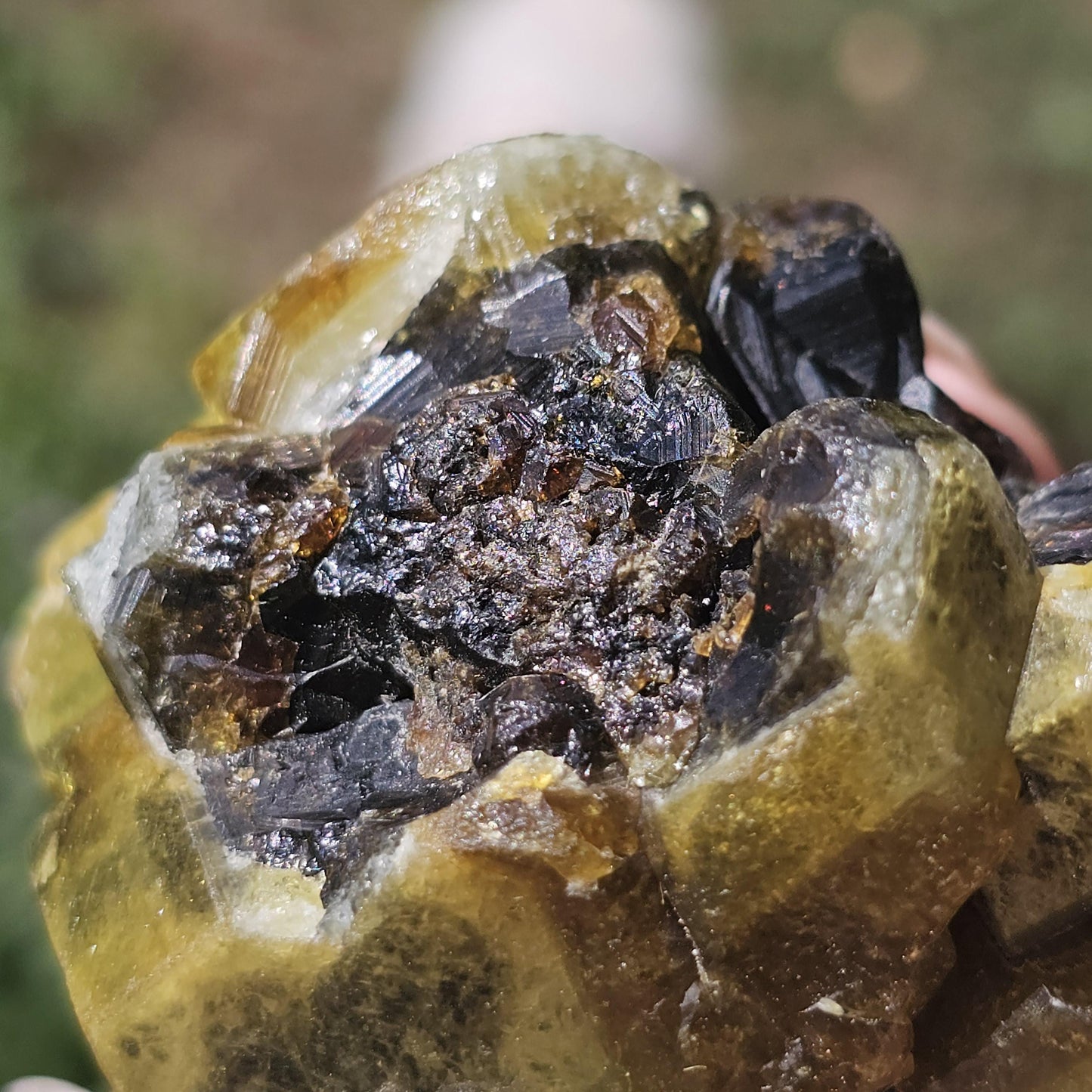 Mali Garnet with Well Documented History, Unique Large Terminated Cluster with Chocolate Brown core, Green Skin, and some Rare Blue!