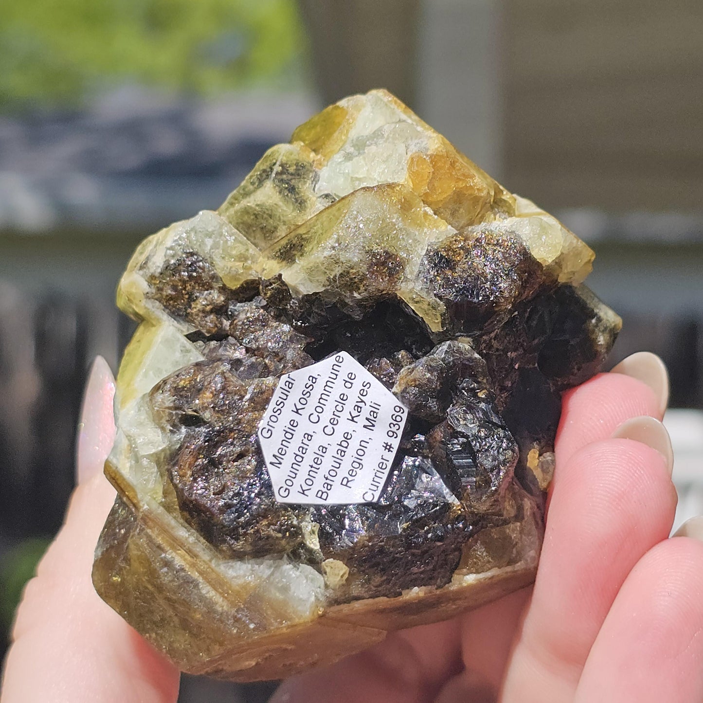 Mali Garnet with Well Documented History, Unique Large Terminated Cluster with Chocolate Brown core, Green Skin, and some Rare Blue!
