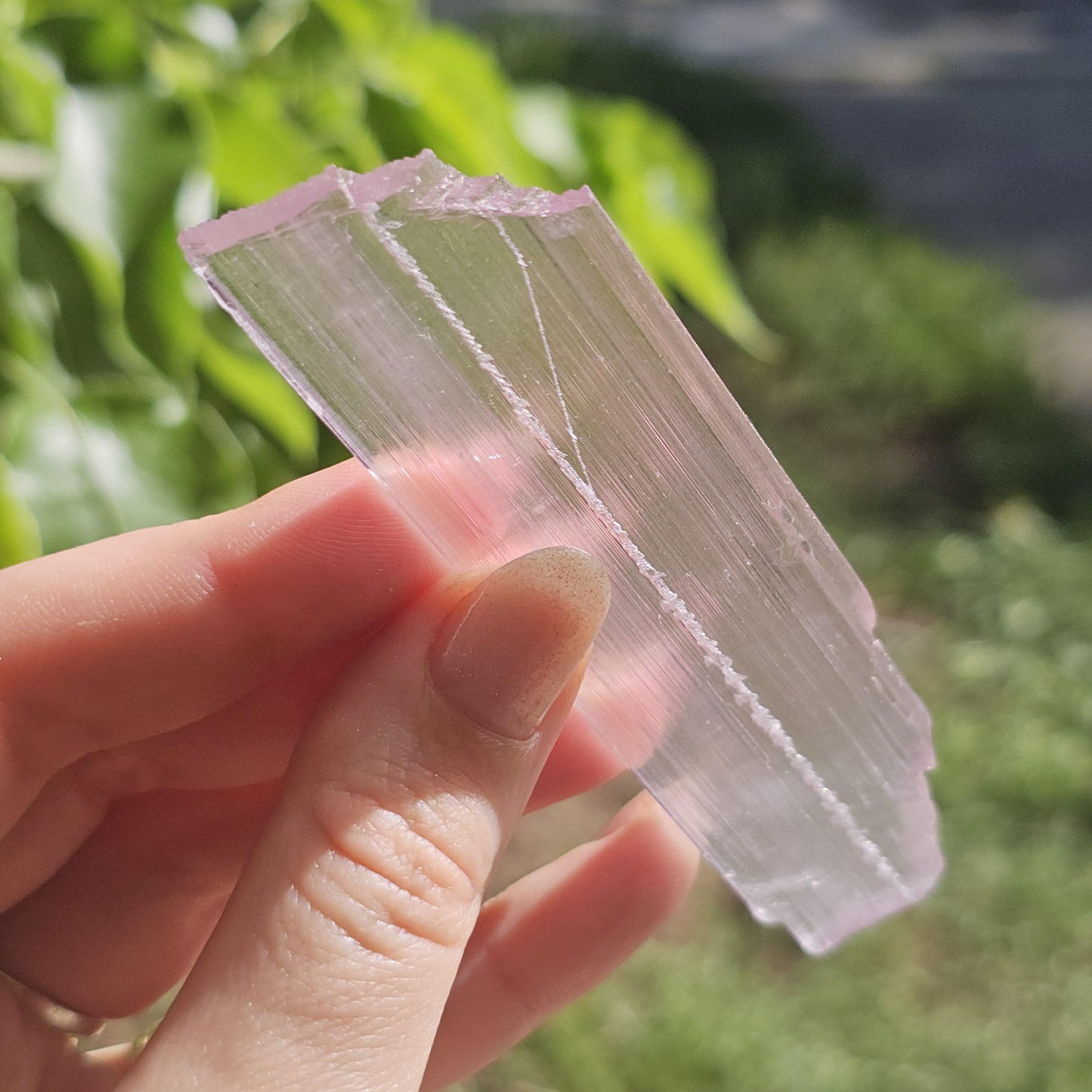 Extremely Tabular Spodumene var. Kunzite Crystal with DNA Helix Inclusion
