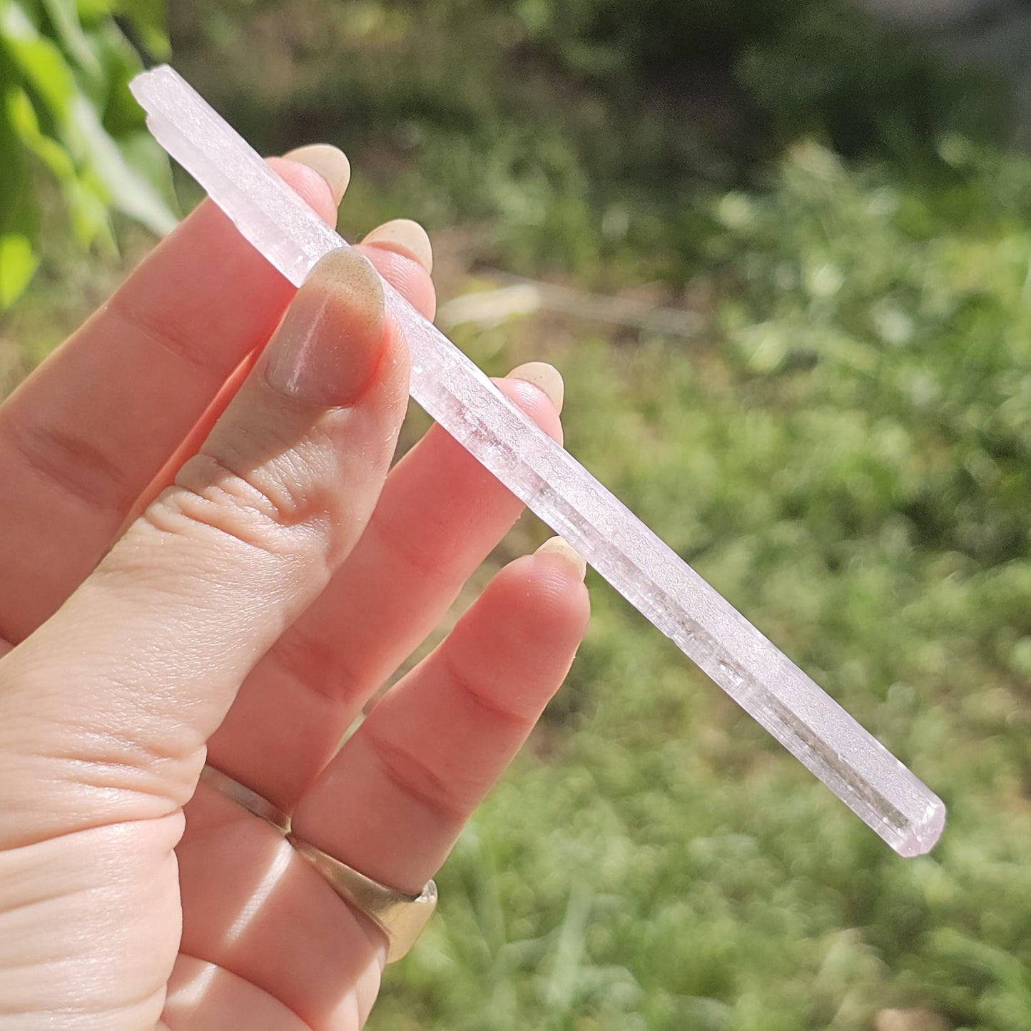 Unique Wand Shaped Spodumene var. Kunzite Crystal with Great Luster, Highly UV Reactive Fluorescent Collector Specimen, Tabby Pencil