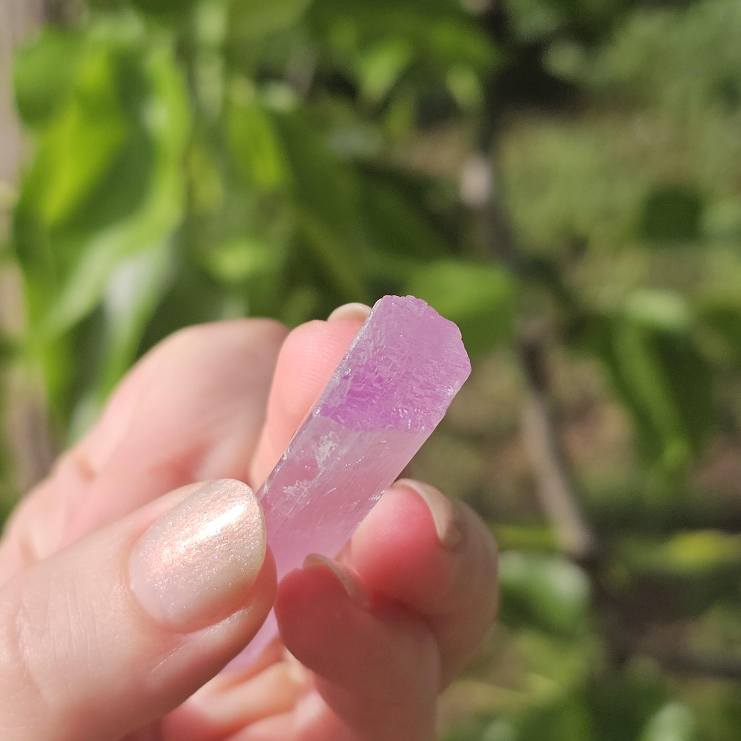 Stunning AAA Spodumene var. Kunzite Crystal with Great Luster and Color