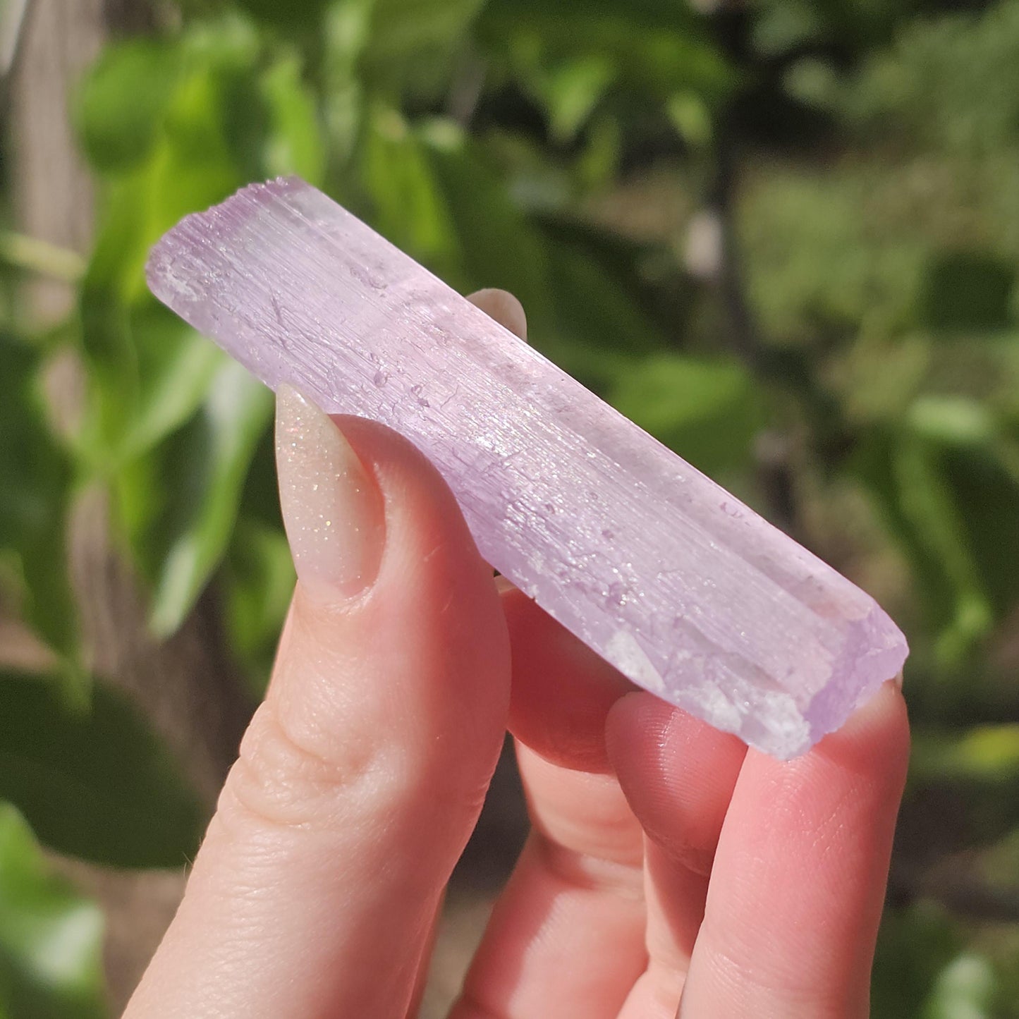 Stunning AAA Spodumene var. Kunzite Crystal with Great Luster and Color
