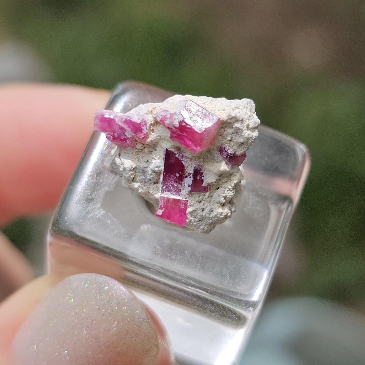 Hot Pink Red Beryl Crystals in Matrix/ Bixbite Specimen from Wah Wah Mtns, Utah