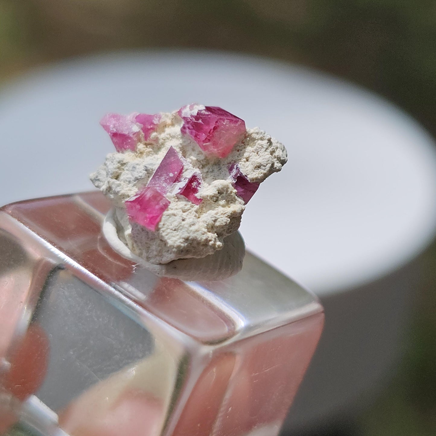 Hot Pink Red Beryl Crystals in Matrix/ Bixbite Specimen from Wah Wah Mtns, Utah