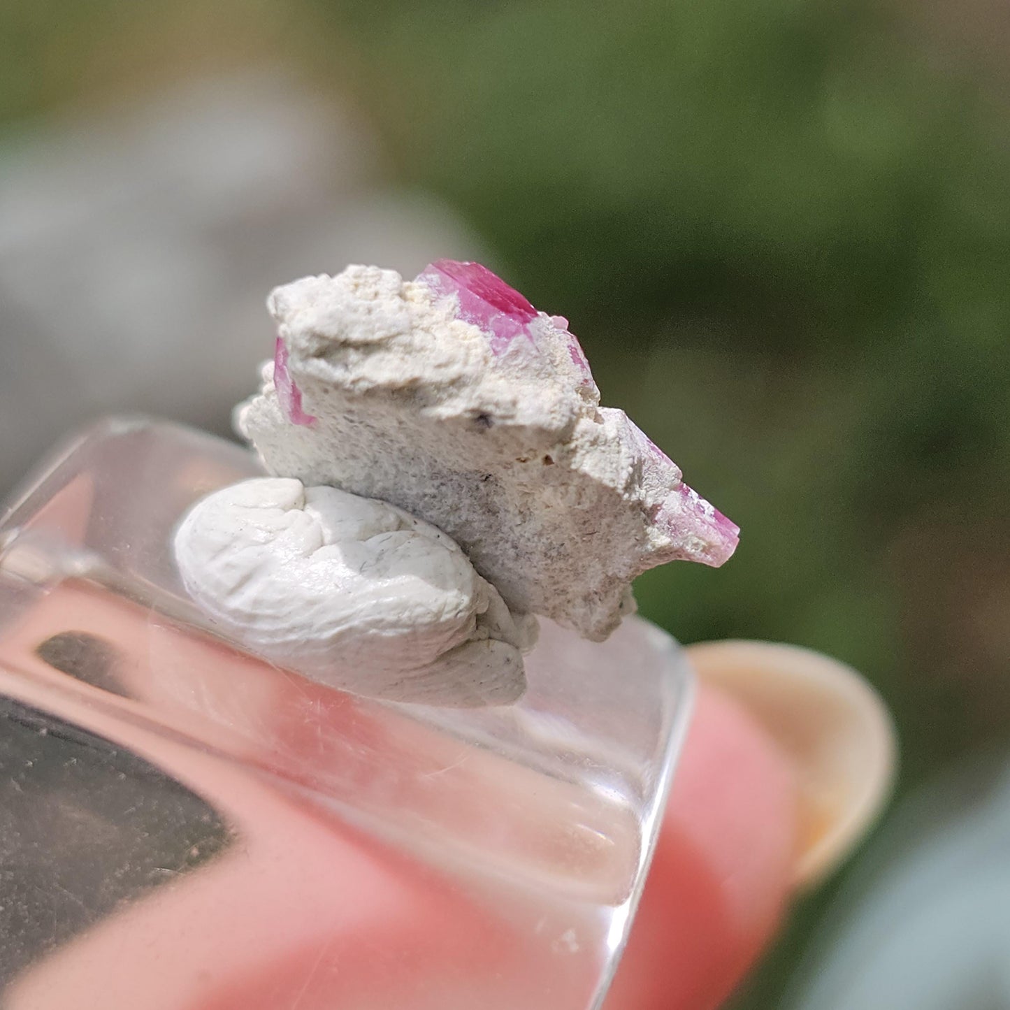 Hot Pink Red Beryl Crystals in Matrix/ Bixbite Specimen from Wah Wah Mtns, Utah
