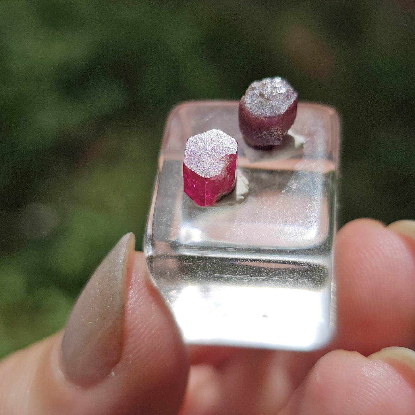 RESERVED Beryl Duo, 2 High Grade Gemmy Bixbite Crystals, Western United States
