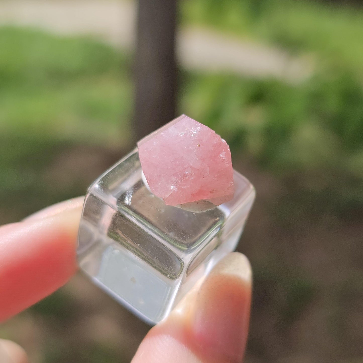 Baby Pink Garnet, Sierra de las Cruces, Mexico, New Stock 2024 Production <100