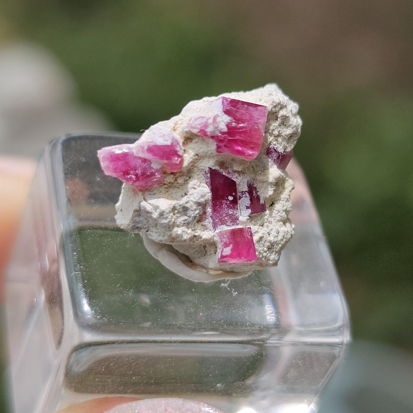 Hot Pink Red Beryl Crystals in Matrix/ Bixbite Specimen from Wah Wah Mtns, Utah