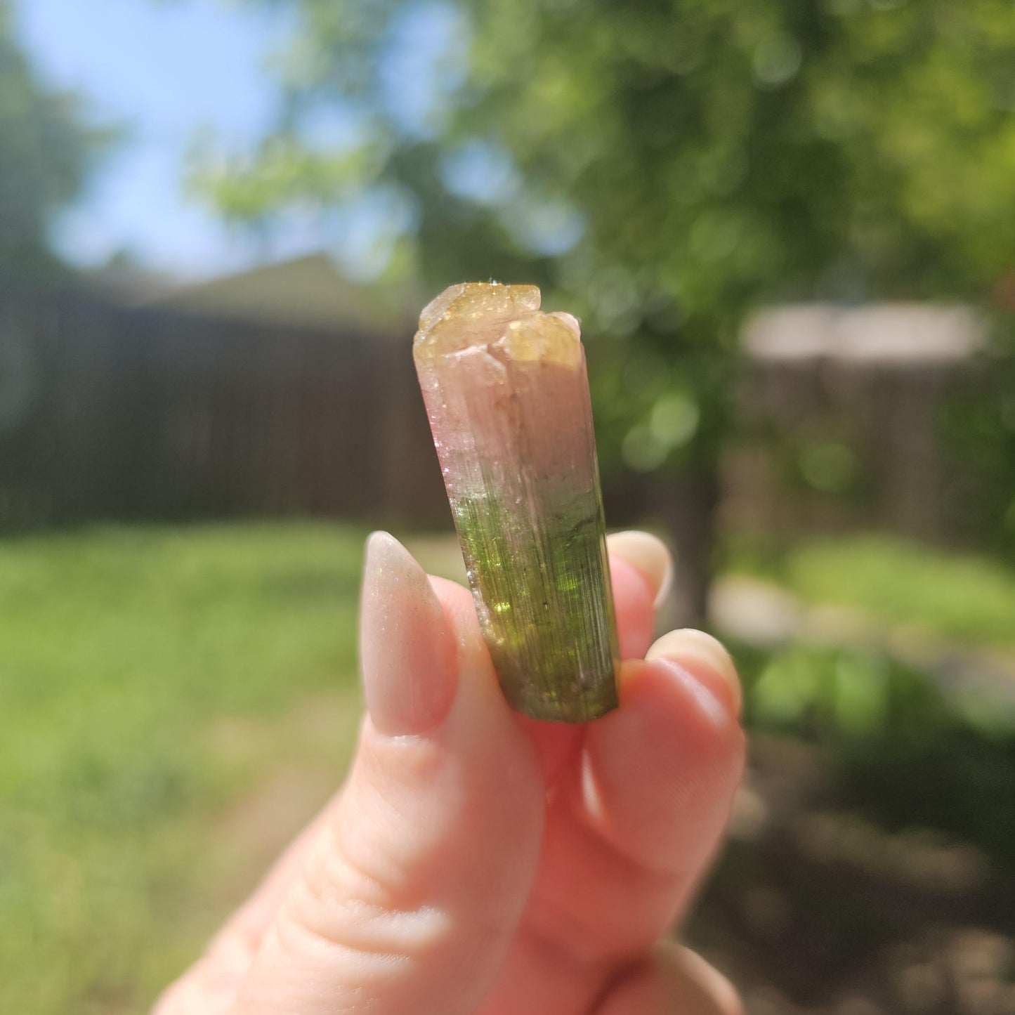 Rainbow Tourmaline Crystal from New Pocket, Taquaral Brazil, Green Pink Blue and Yellow Elbaite