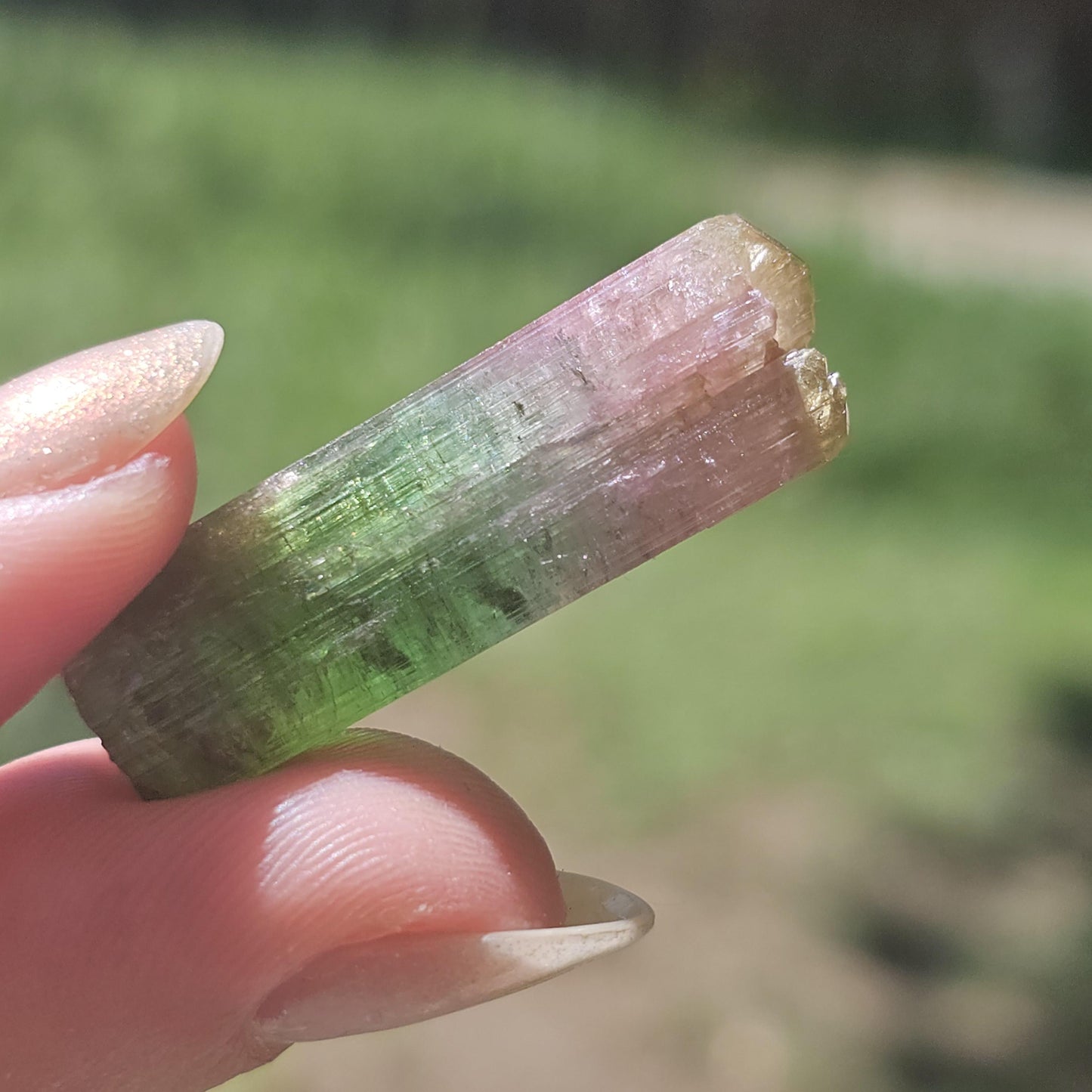 Rainbow Tourmaline Crystal from New Pocket, Taquaral Brazil, Green Pink Blue and Yellow Elbaite