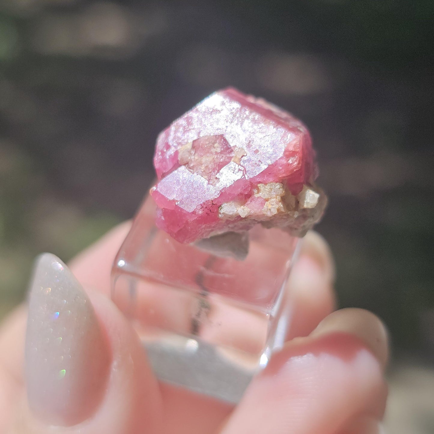 Hot Pink Raspberry Garnet Floater from Sierra de Cruces Mexico <100