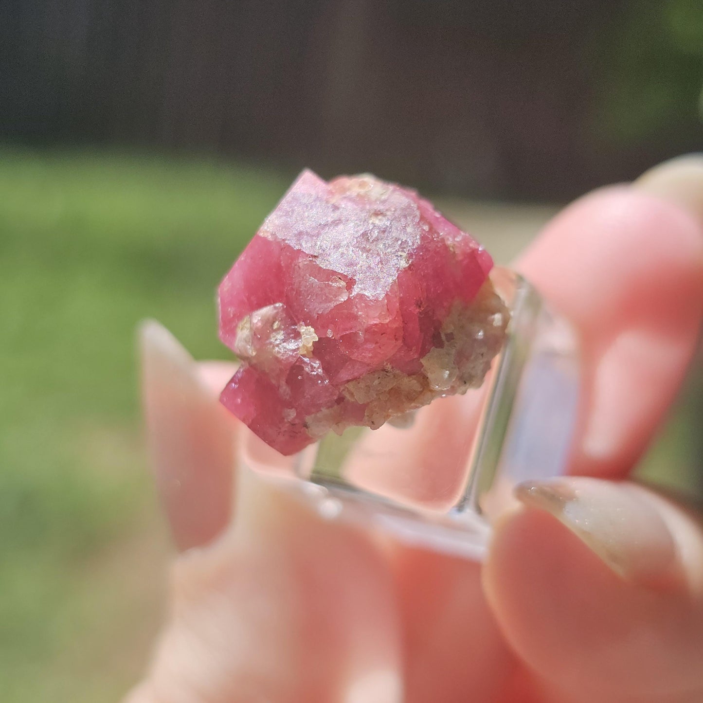 Hot Pink Raspberry Garnet Floater from Sierra de Cruces Mexico <100