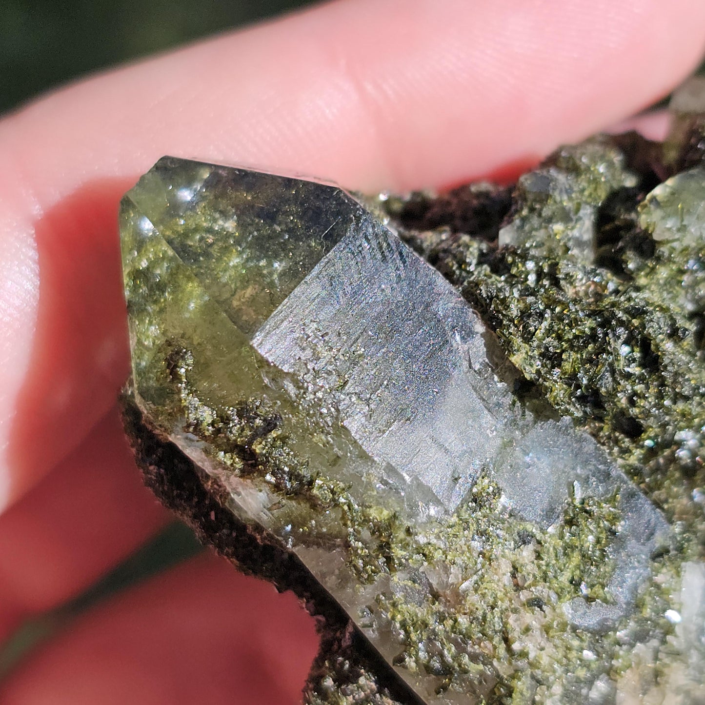 Clear Terminated Quartz with Green Epidote Inclusions & Matrix