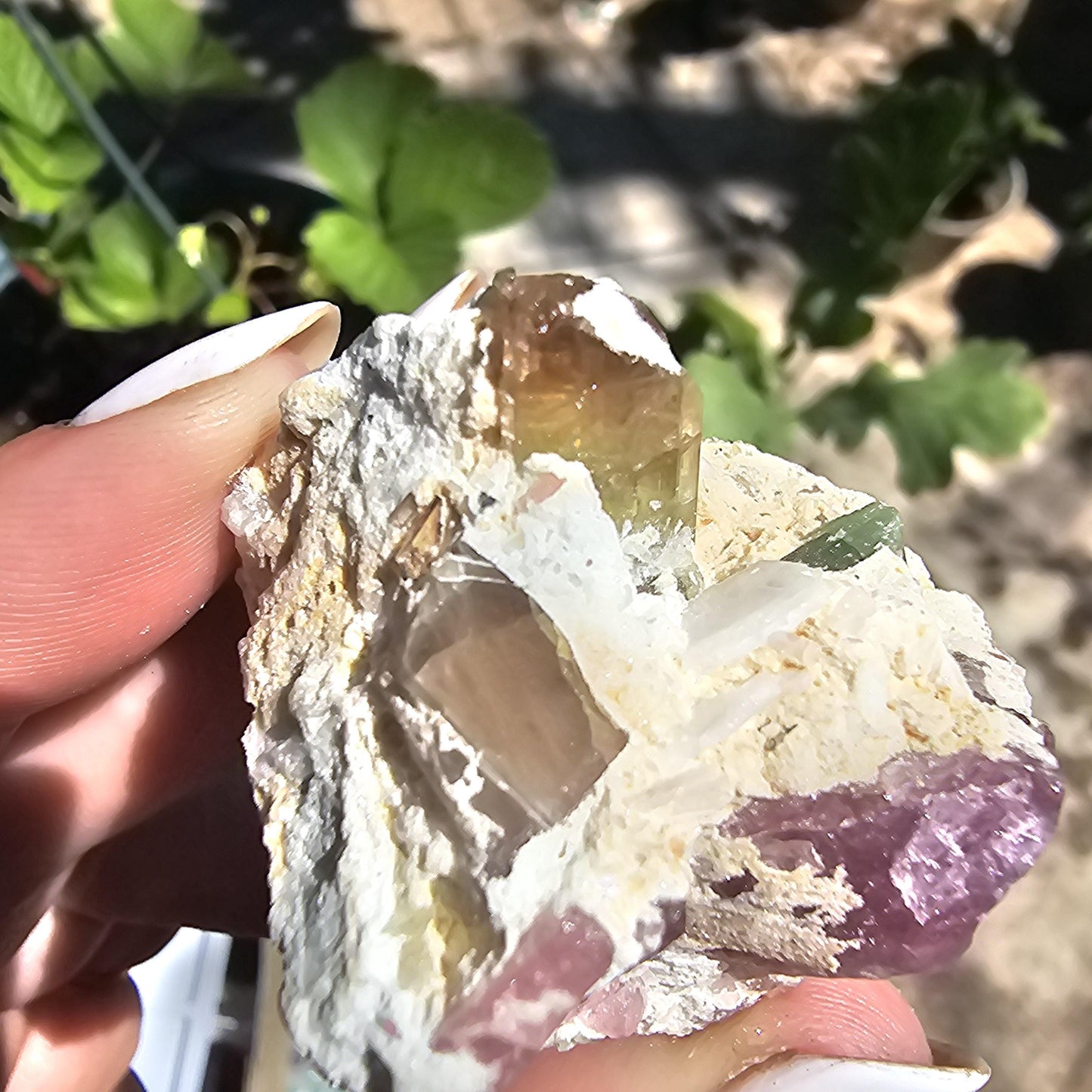 Parti-colored Tourmaline from the California Himalaya Mine ~ Pink, Teal Green and Orange Elbaite on Matrix, Source Traced 90s Material