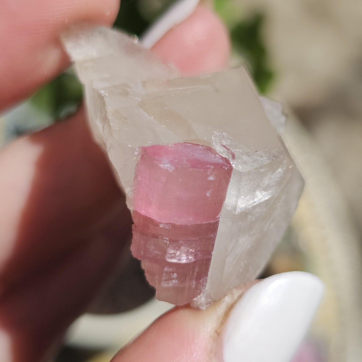 Juicy Pink Tourmaline on Lustrous Terminated Quartz Matrix from the California Himalaya Mine, Source Traced 90s Material