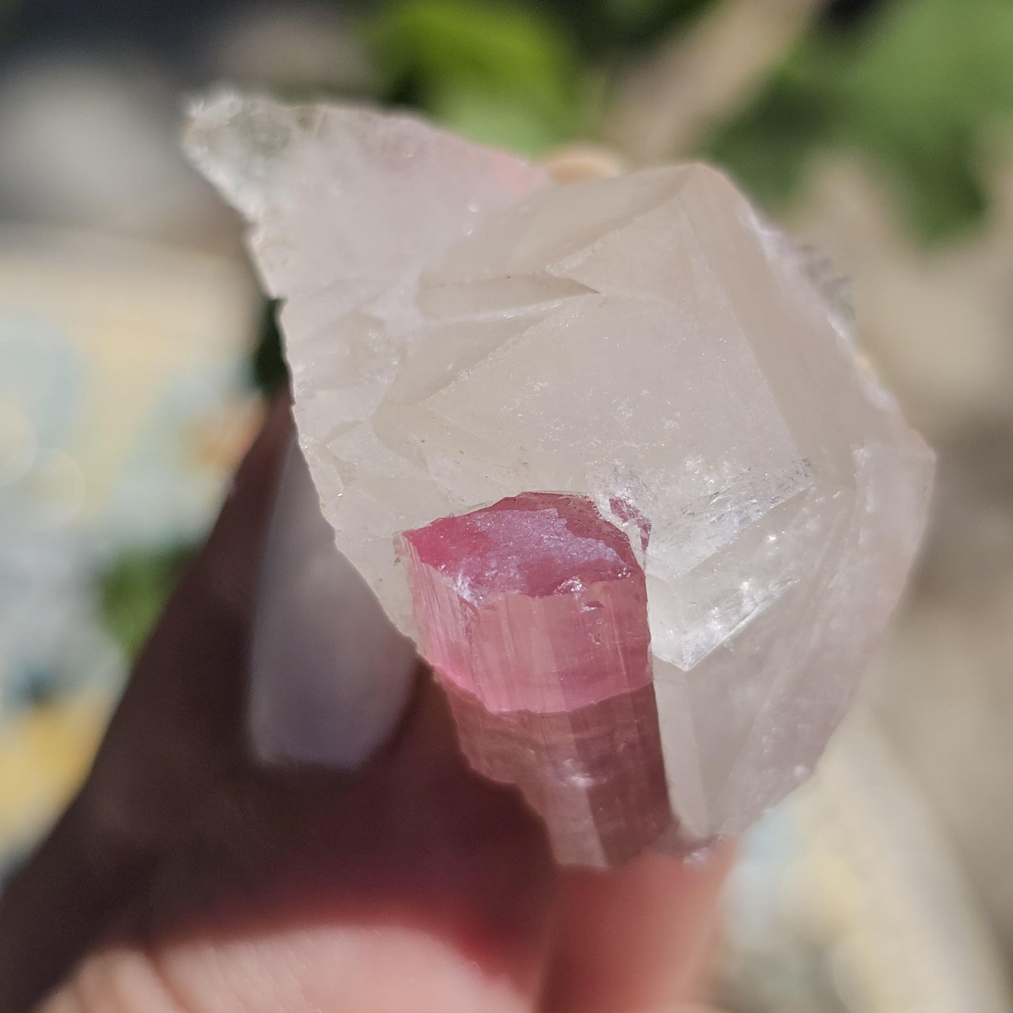 Juicy Pink Tourmaline on Lustrous Terminated Quartz Matrix from the California Himalaya Mine, Source Traced 90s Material