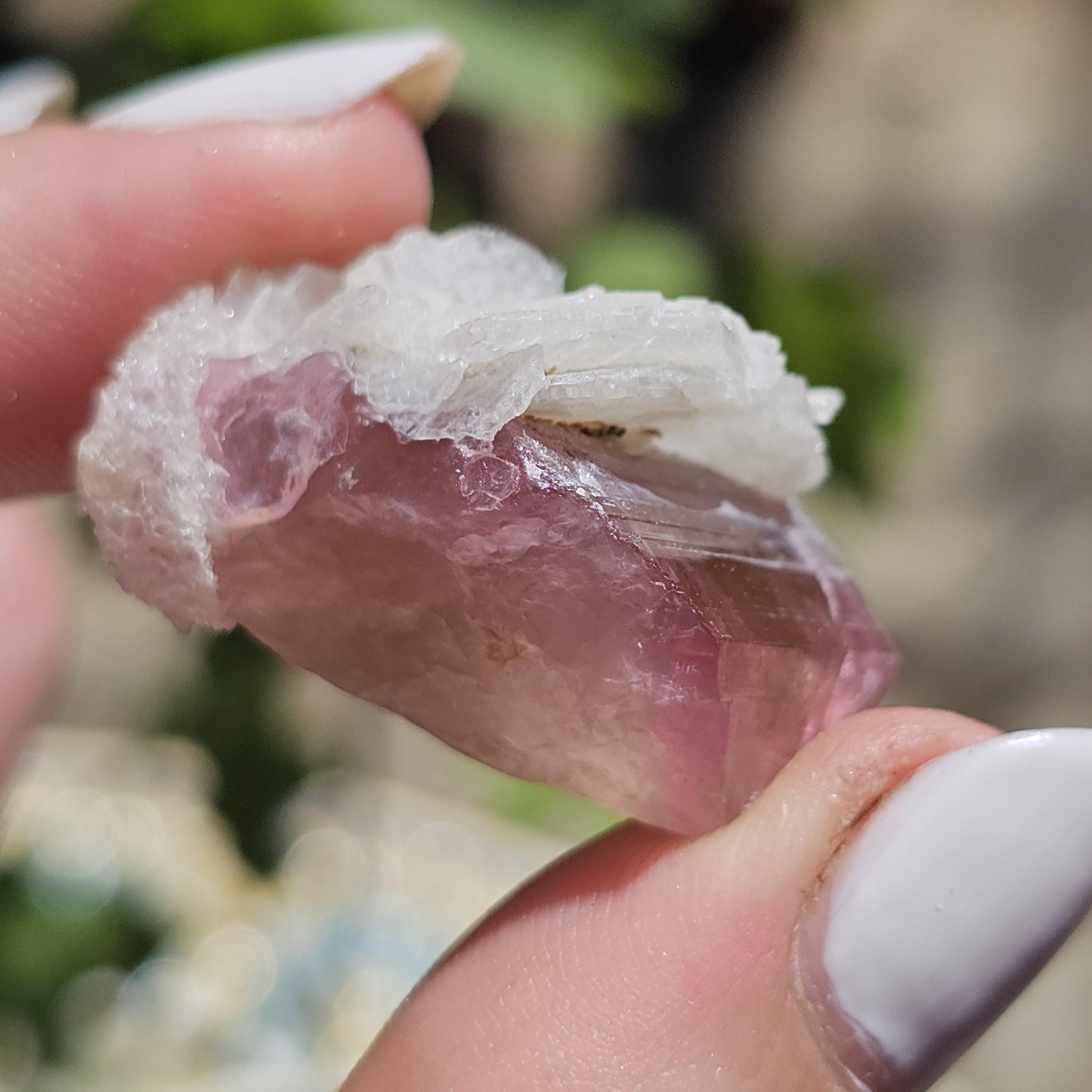 Juicy Pink and Green Tourmaline from the California Himalaya Mine w Lustrous White Cleavandite, Source Traced 90s Material
