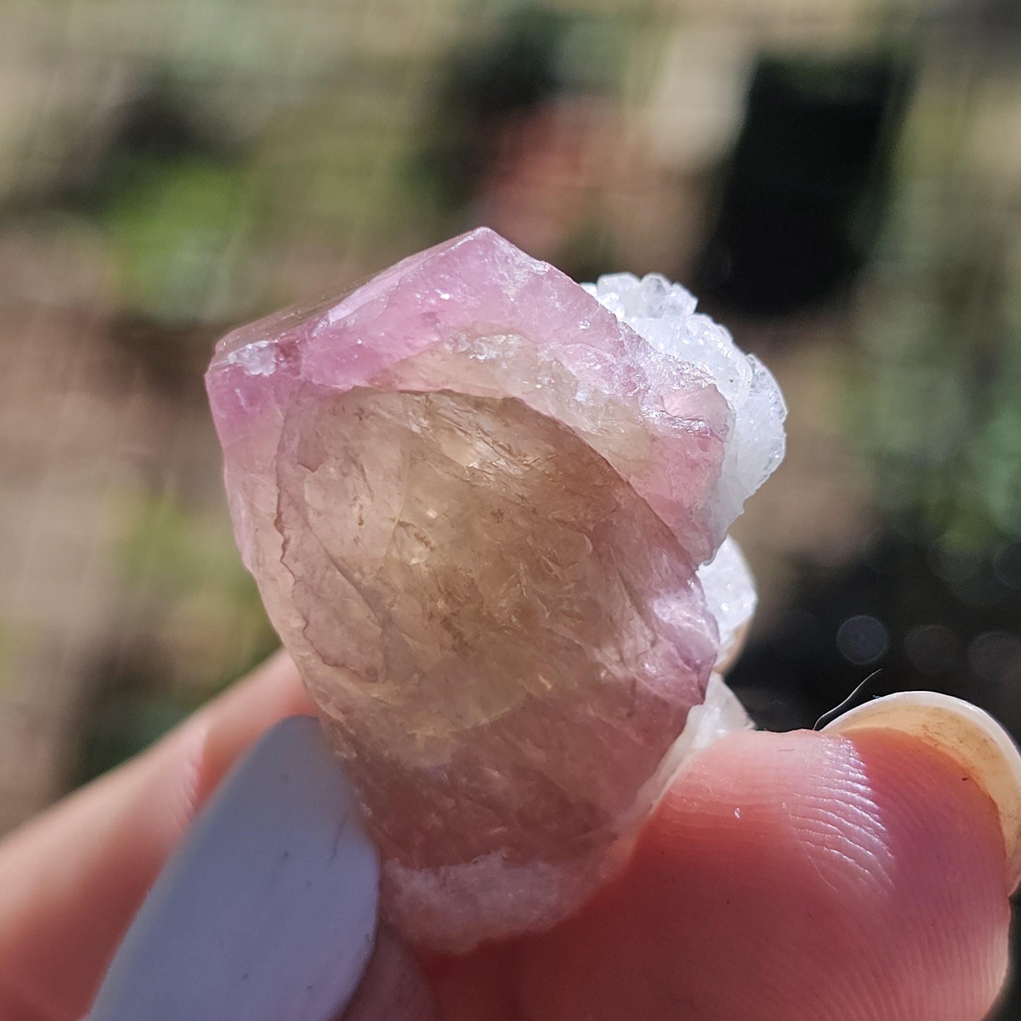 Juicy Pink and Green Tourmaline from the California Himalaya Mine w Lustrous White Cleavandite, Source Traced 90s Material
