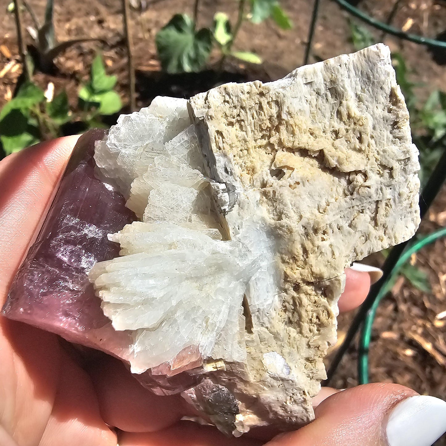 Himilaya Pink and Green Tourmaline, Himalaya Mine in California, w Lustrous Microline Feldspar & Cleavandite, Source Traced 90s Material