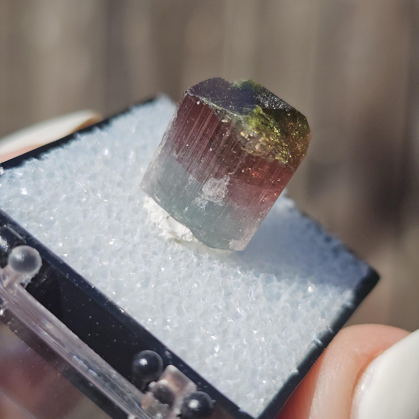 Colorful 3.9g Tourmaline Crystal from Aricanga, Brazil with Triangle Termination, Thumbnail Size in Perky Box