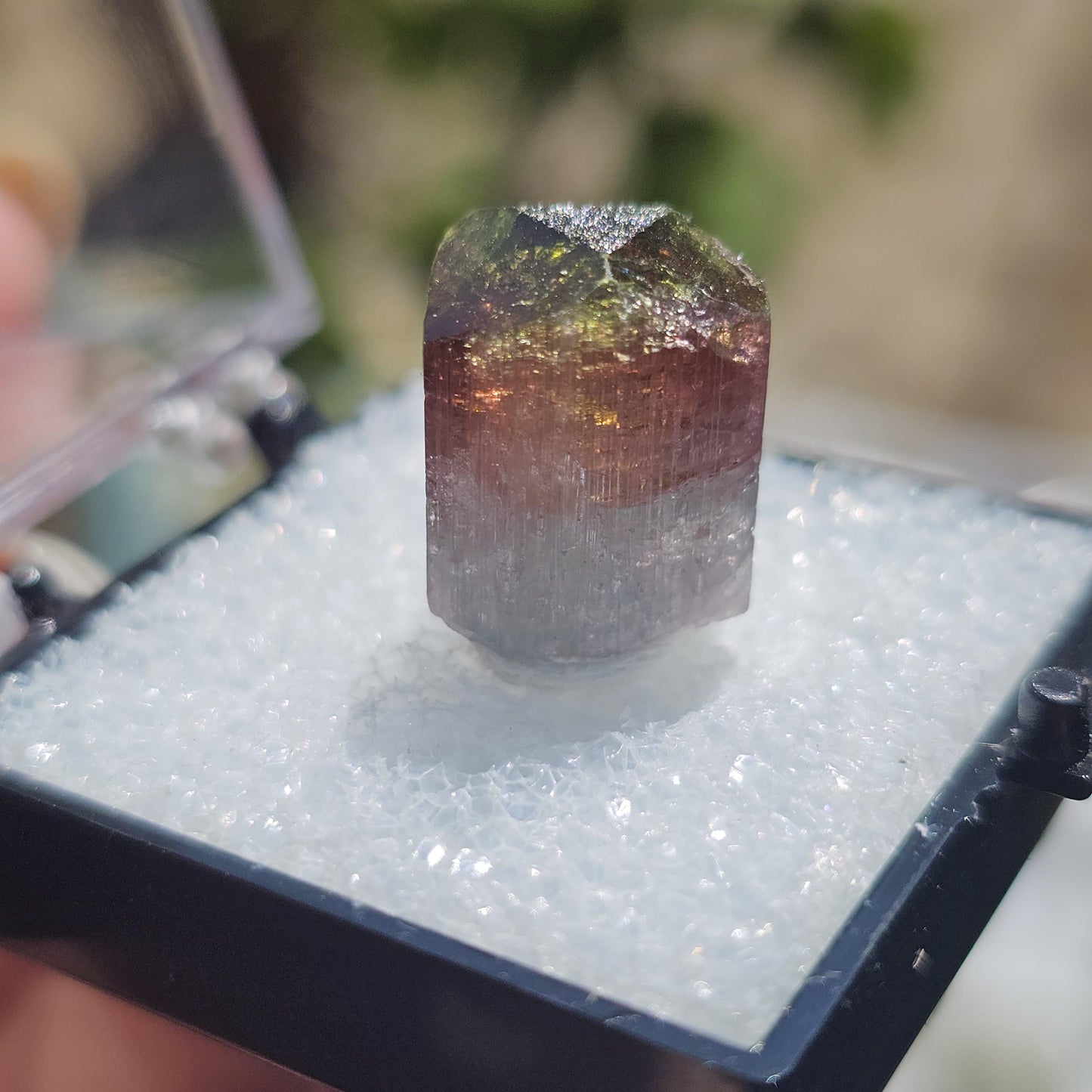 Colorful 3.9g Tourmaline Crystal from Aricanga, Brazil with Triangle Termination, Thumbnail Size in Perky Box