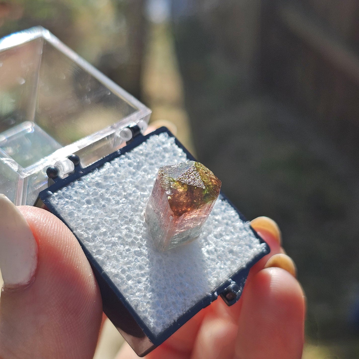 Colorful 3.9g Tourmaline Crystal from Aricanga, Brazil with Triangle Termination, Thumbnail Size in Perky Box