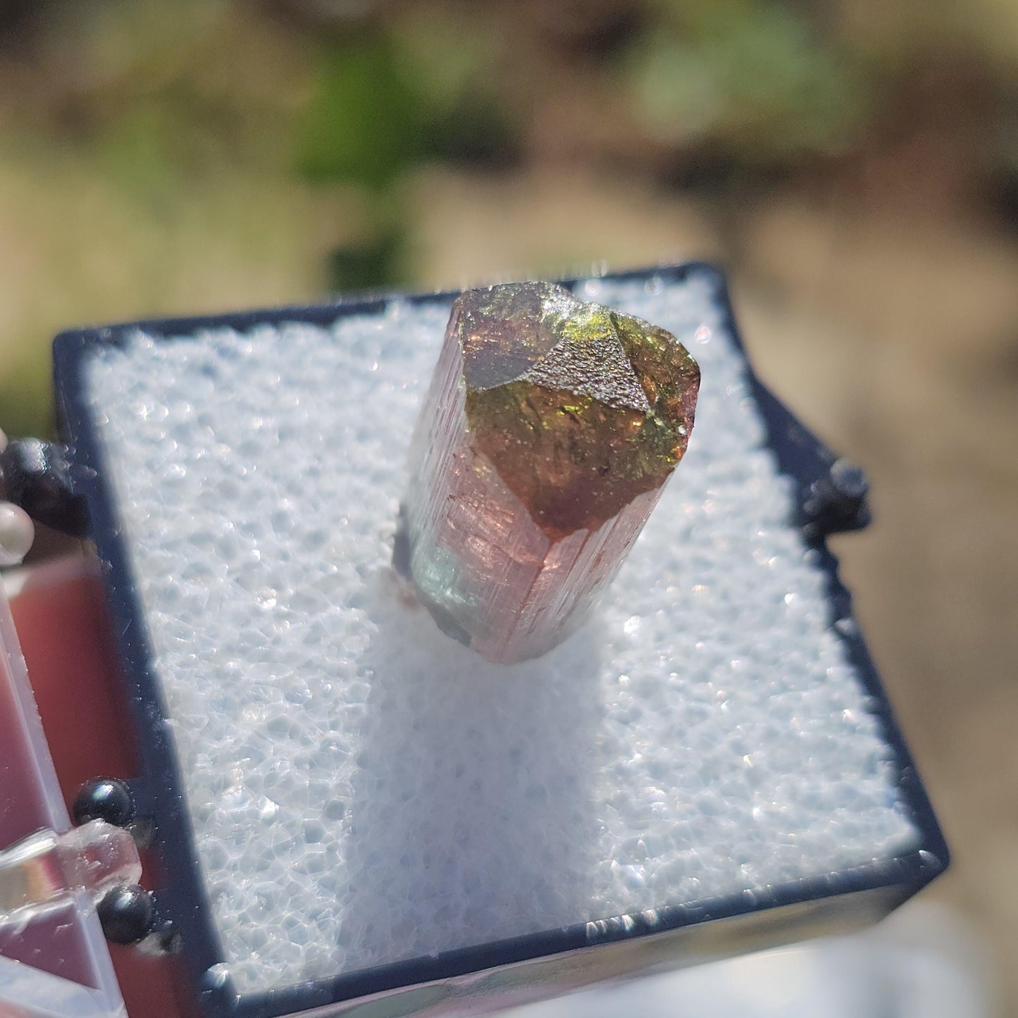 Colorful 3.9g Tourmaline Crystal from Aricanga, Brazil with Triangle Termination, Thumbnail Size in Perky Box