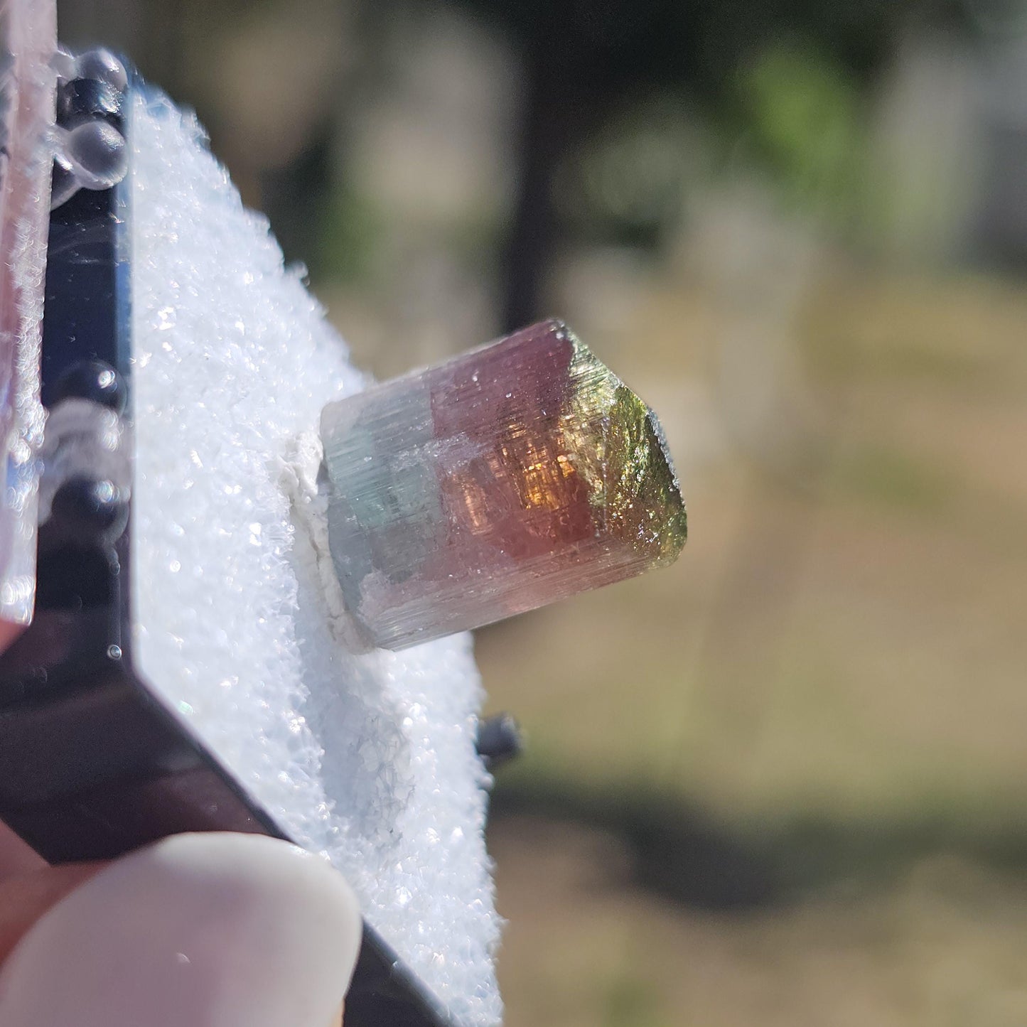 Colorful 3.9g Tourmaline Crystal from Aricanga, Brazil with Triangle Termination, Thumbnail Size in Perky Box
