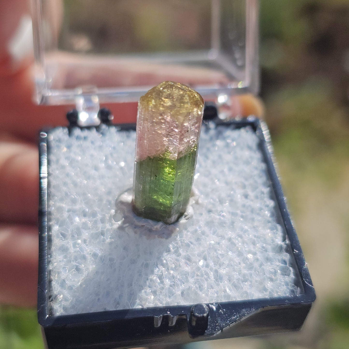 Cute Green Yellow and Pink 'Rainbow' Tourmaline Thumbnail Crystal Specimen ~Taquaral, Brazil