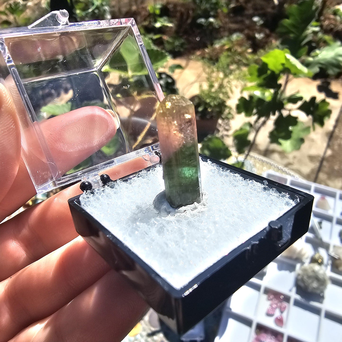 Cute Green Yellow and Pink 'Rainbow' Tourmaline Thumbnail Crystal Specimen ~Taquaral, Brazil
