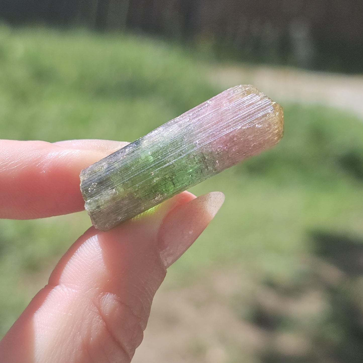 Rainbow Tourmaline Crystal from New Pocket, Taquaral Brazil, Green Pink Blue and Yellow Elbaite