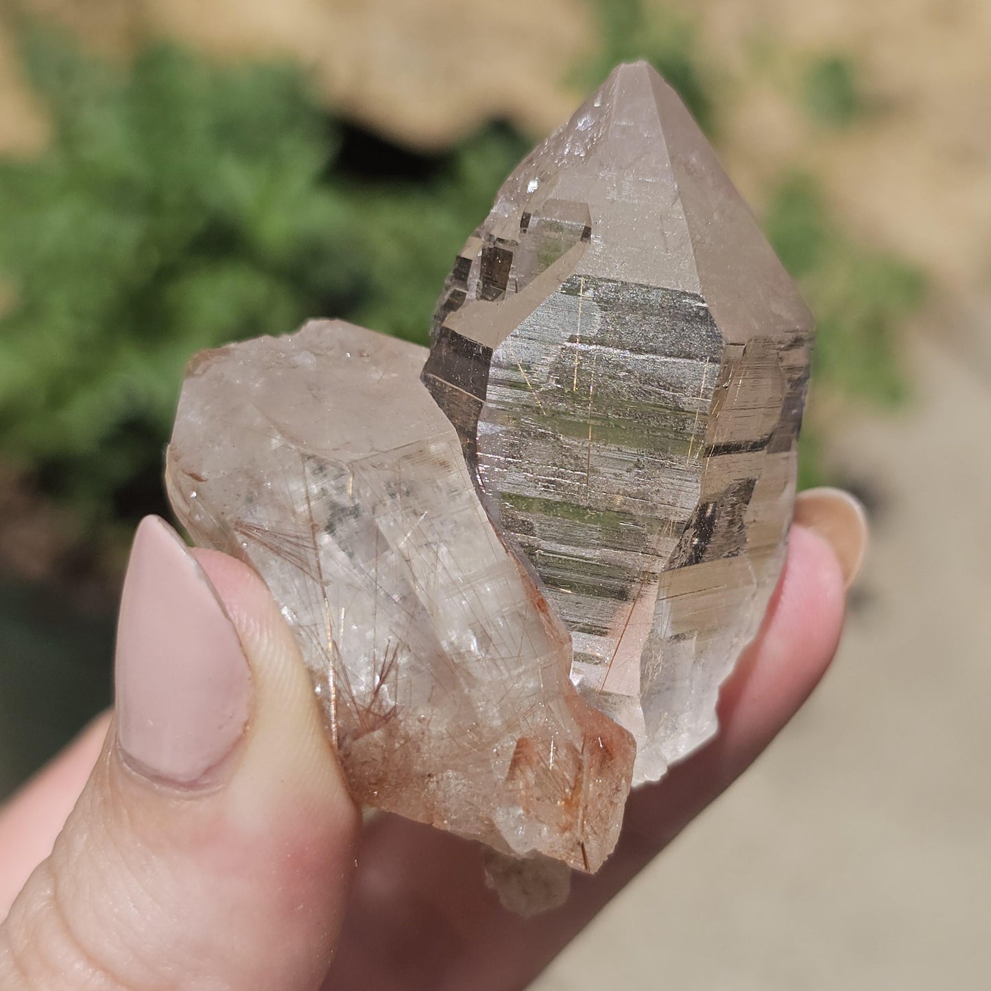 Clear Himalayan Quartz Point with Rutile ~ New Find High Quality