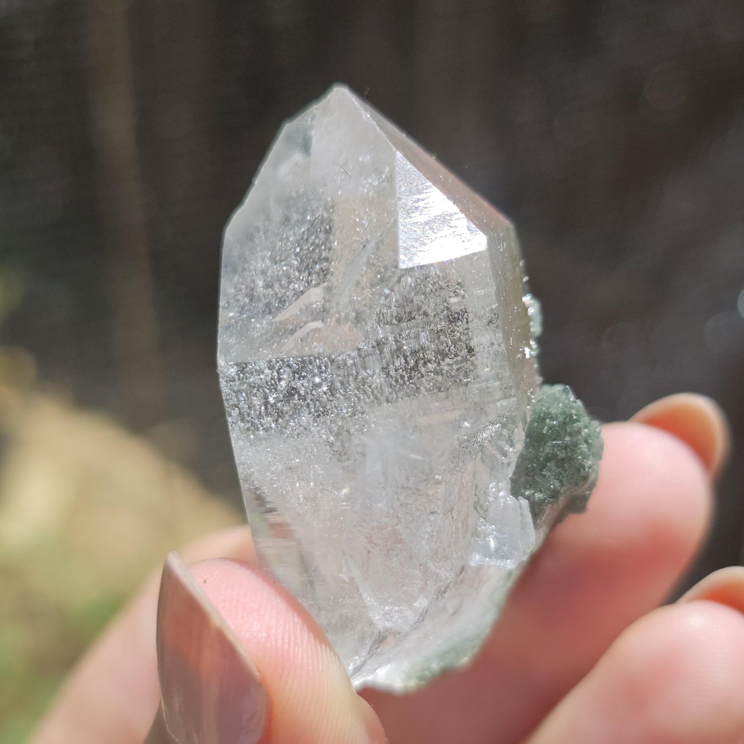 Clear Himalayan Quartz Point with Chlorite ~ New Find High Quality Crystal Specimen