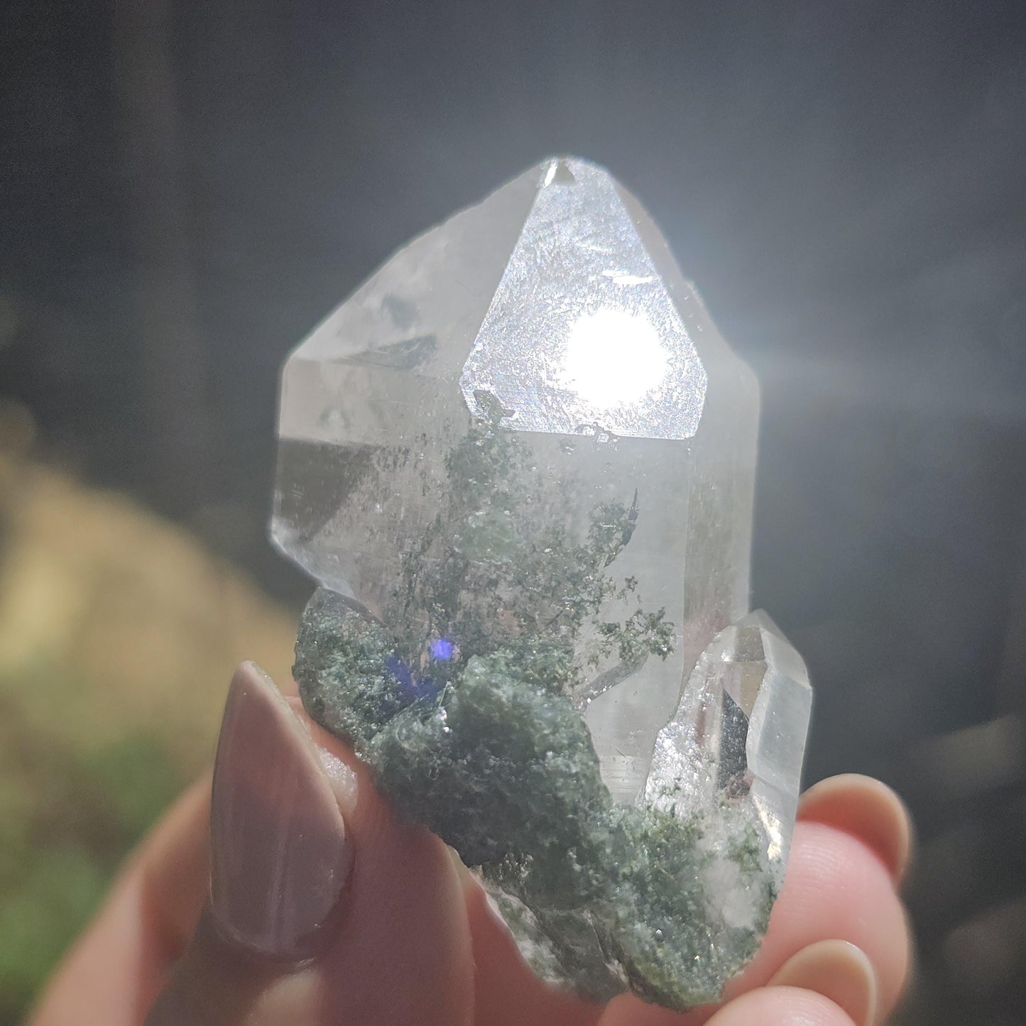 Clear Himalayan Quartz Point with Chlorite ~ New Find High Quality Crystal Specimen