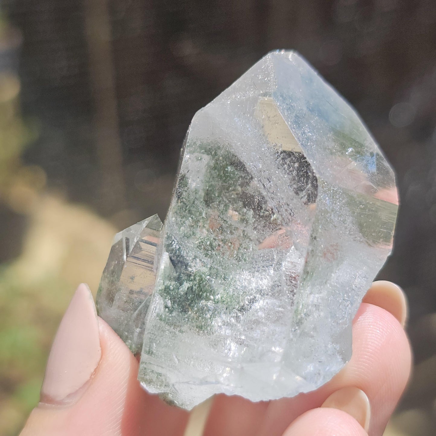 Clear Himalayan Quartz Point with Chlorite ~ New Find High Quality Crystal Specimen