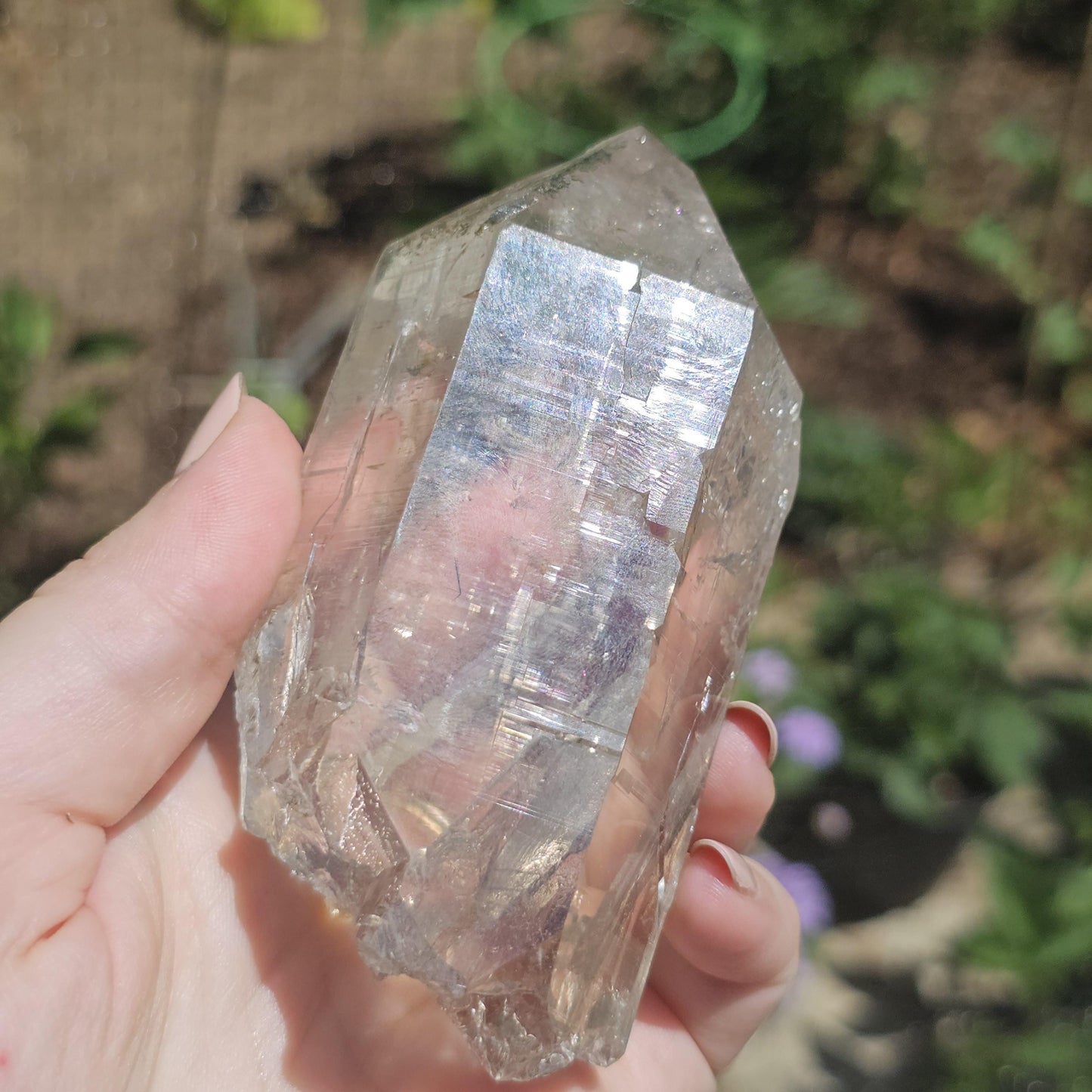 Clear Himalayan Quartz Point with Chlorite ~ New Find High Quality Large Single Point