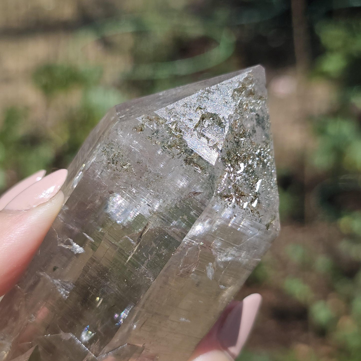 Clear Himalayan Quartz Point with Chlorite ~ New Find High Quality Large Single Point