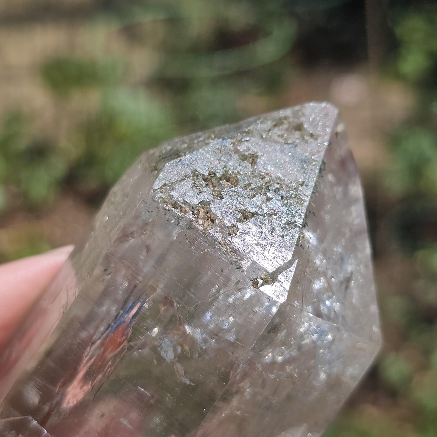 Clear Himalayan Quartz Point with Chlorite ~ New Find High Quality Large Single Point