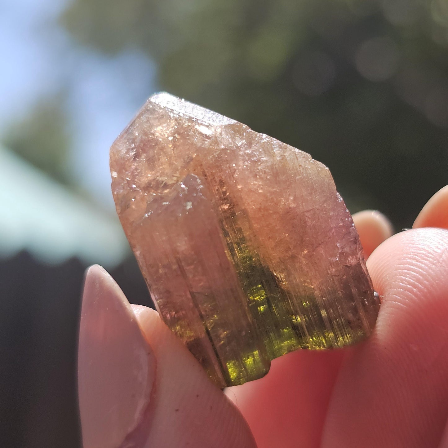Madagascar Tourmaline, Old Stock Rainbow Liddicoatite