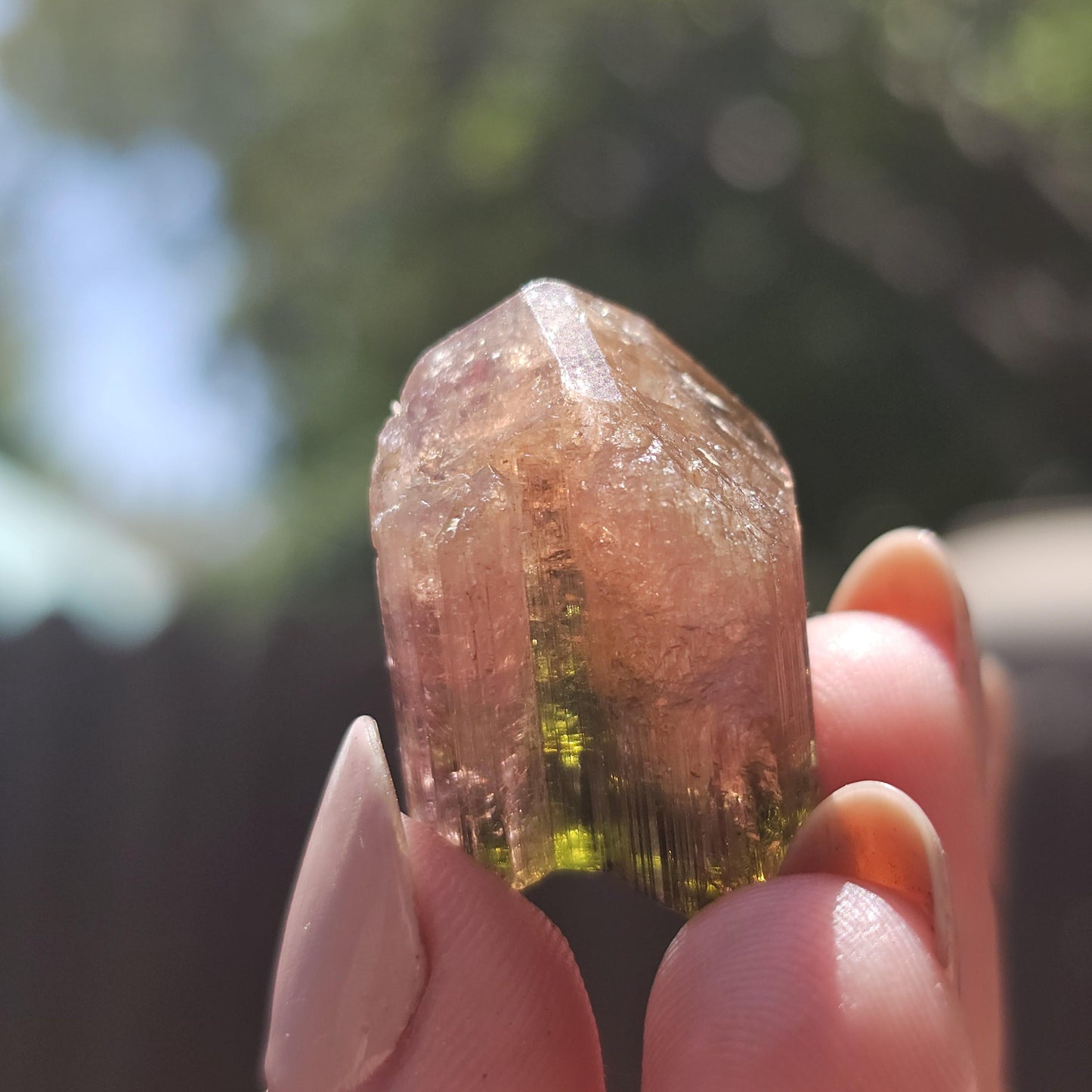 Madagascar Tourmaline, Old Stock Rainbow Liddicoatite