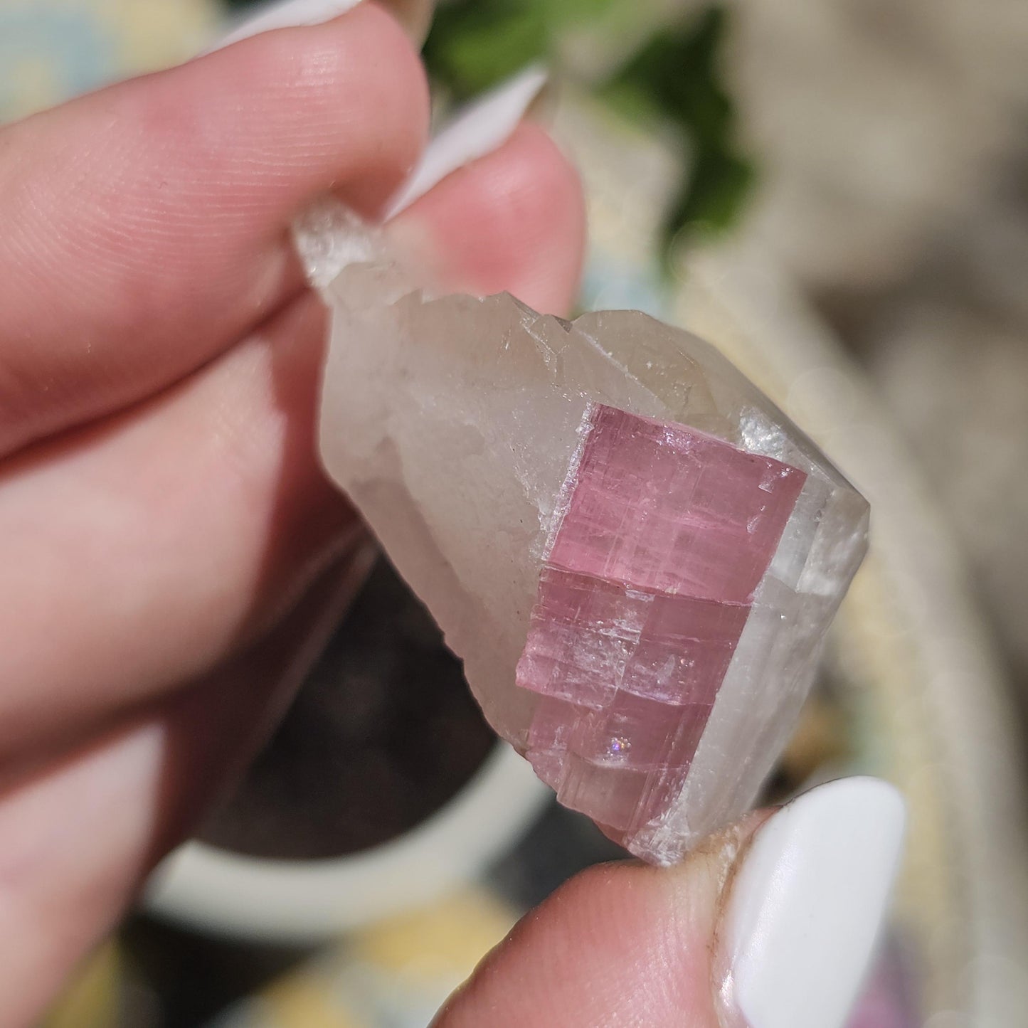 Juicy Pink Tourmaline on Lustrous Terminated Quartz Matrix from the California Himalaya Mine, Source Traced 90s Material