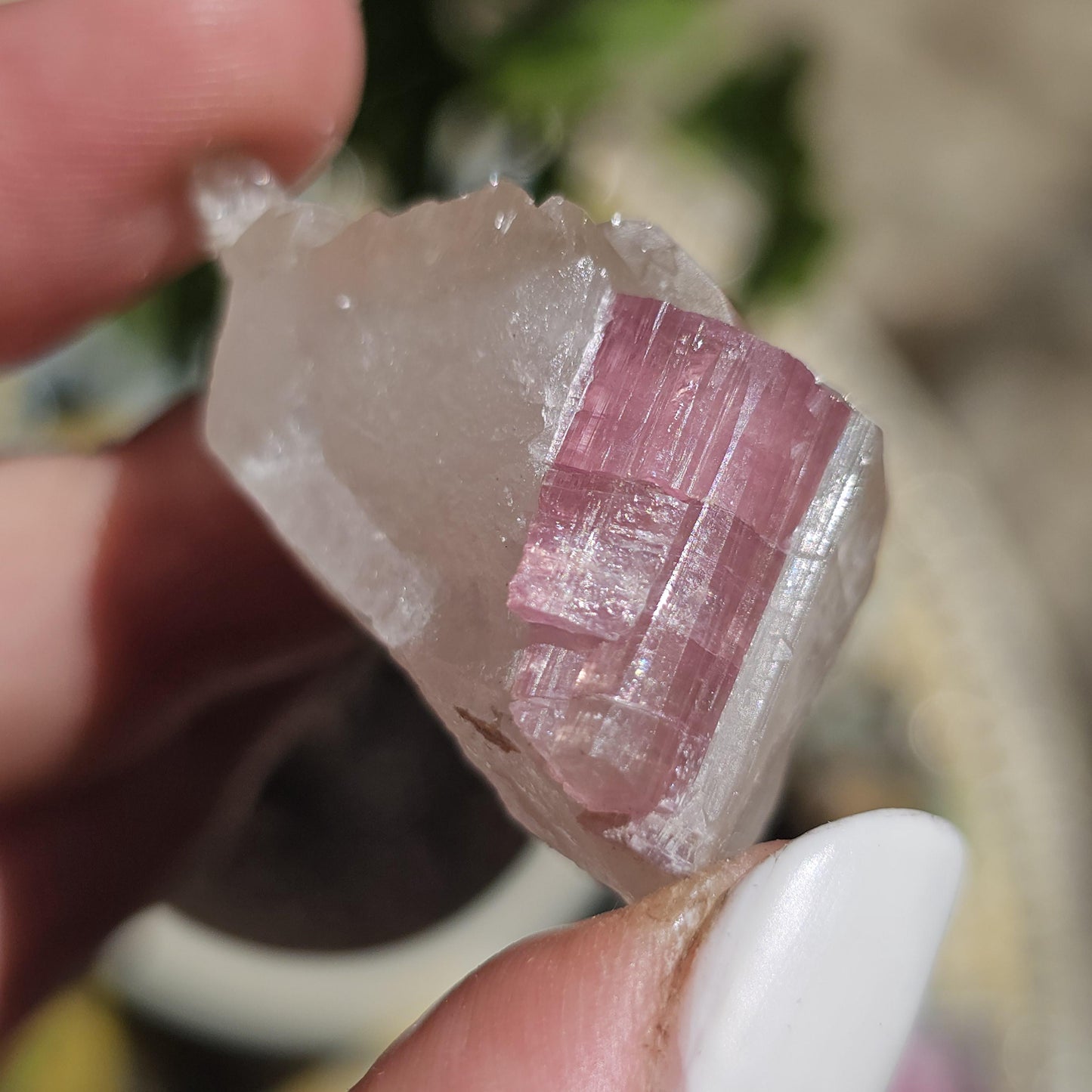 Juicy Pink Tourmaline on Lustrous Terminated Quartz Matrix from the California Himalaya Mine, Source Traced 90s Material