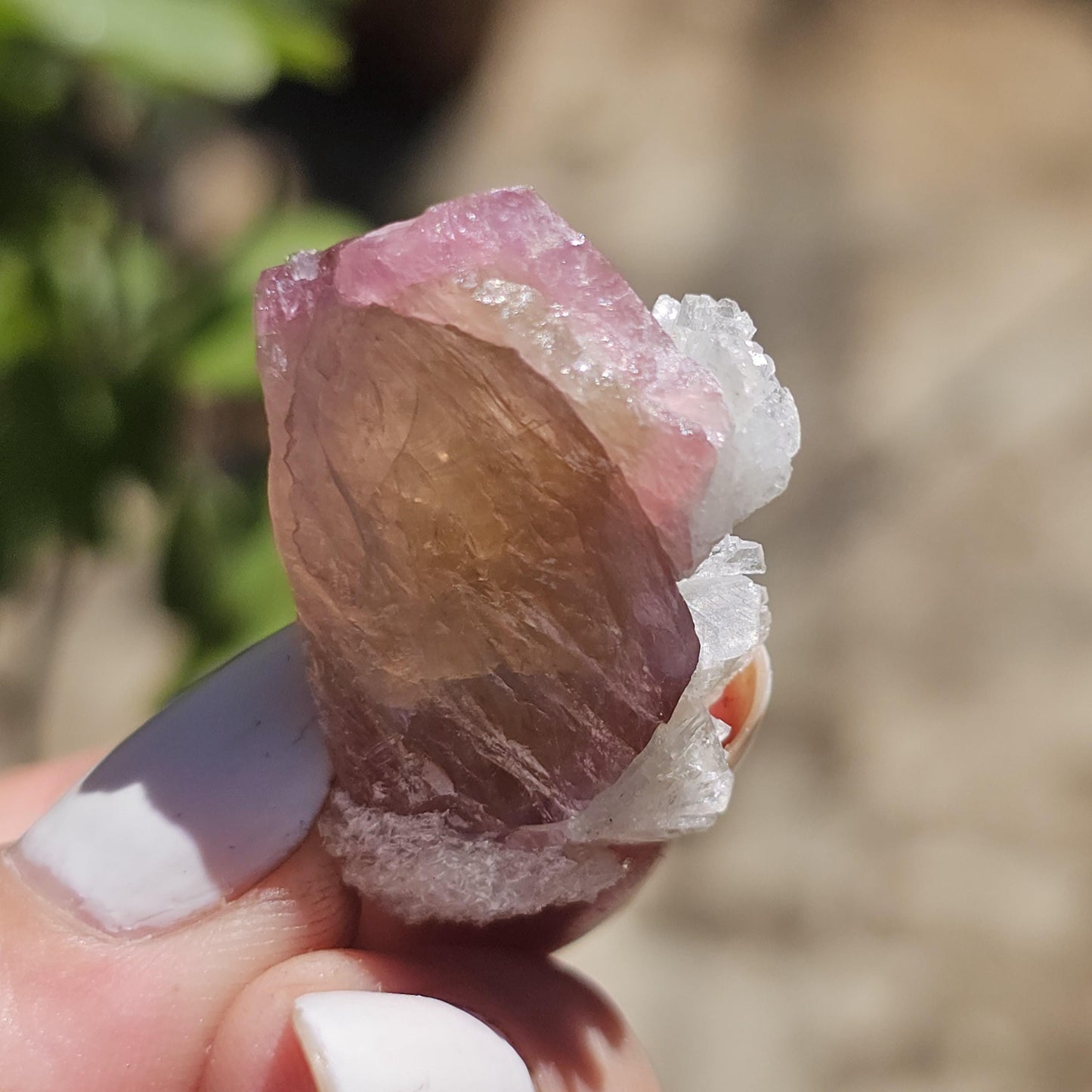 Juicy Pink and Green Tourmaline from the California Himalaya Mine w Lustrous White Cleavandite, Source Traced 90s Material