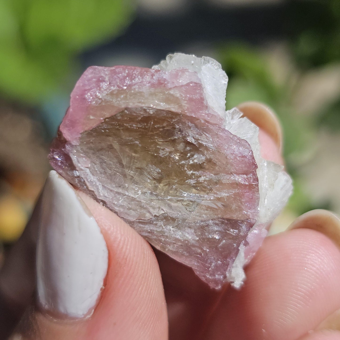 Juicy Pink and Green Tourmaline from the California Himalaya Mine w Lustrous White Cleavandite, Source Traced 90s Material