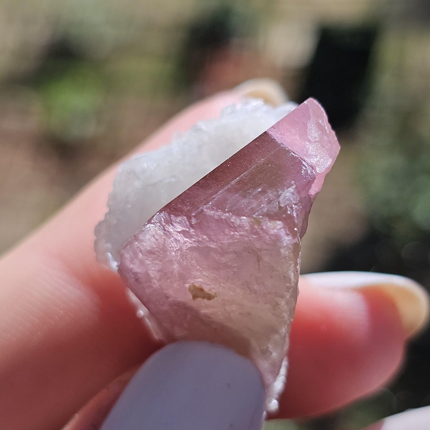 Juicy Pink and Green Tourmaline from the California Himalaya Mine w Lustrous White Cleavandite, Source Traced 90s Material