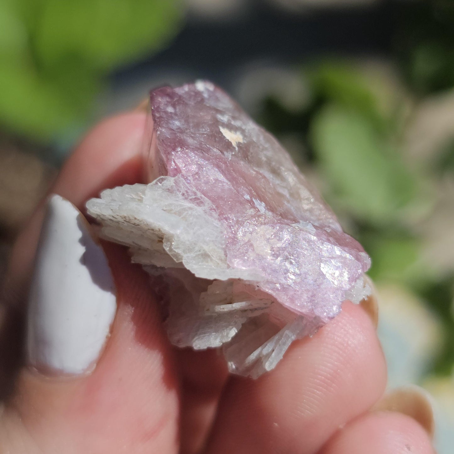 Juicy Pink and Green Tourmaline from the California Himalaya Mine w Lustrous White Cleavandite, Source Traced 90s Material