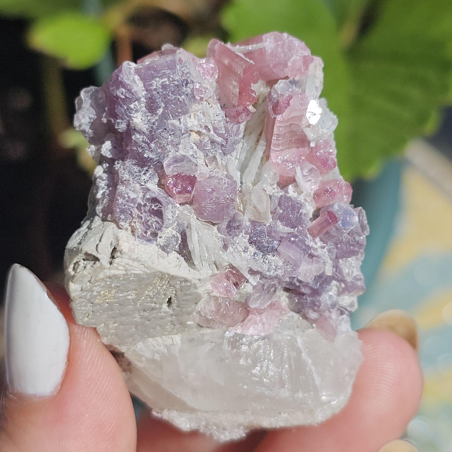 Pink Tourmaline and Purple Lepidolite Mica w Feldspar and Albite from the California Himalaya Mine, Source Traced 90s Material