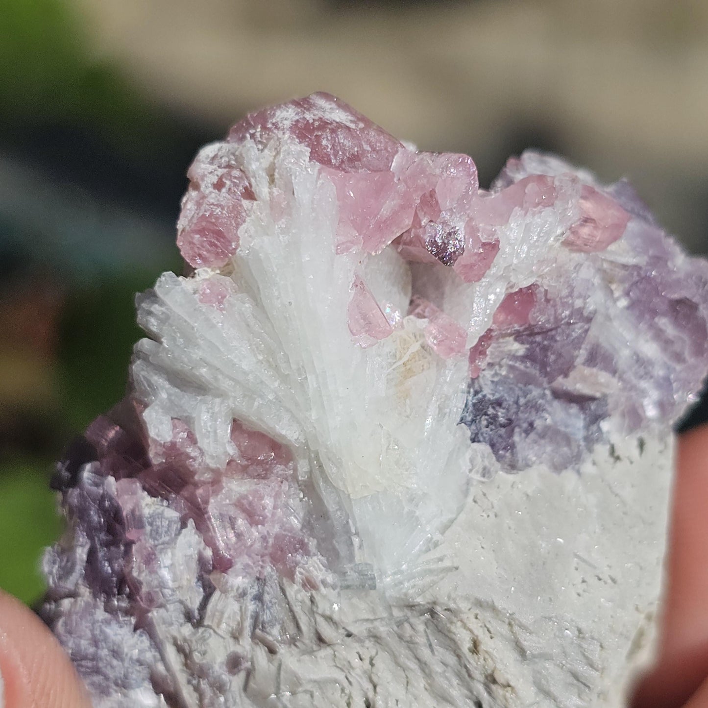 Pink Tourmaline and Purple Lepidolite Mica w Feldspar and Albite from the California Himalaya Mine, Source Traced 90s Material