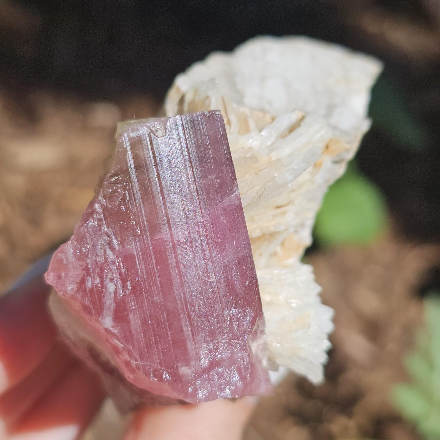 Himilaya Pink and Green Tourmaline, Himalaya Mine in California, w Lustrous Microline Feldspar & Cleavandite, Source Traced 90s Material