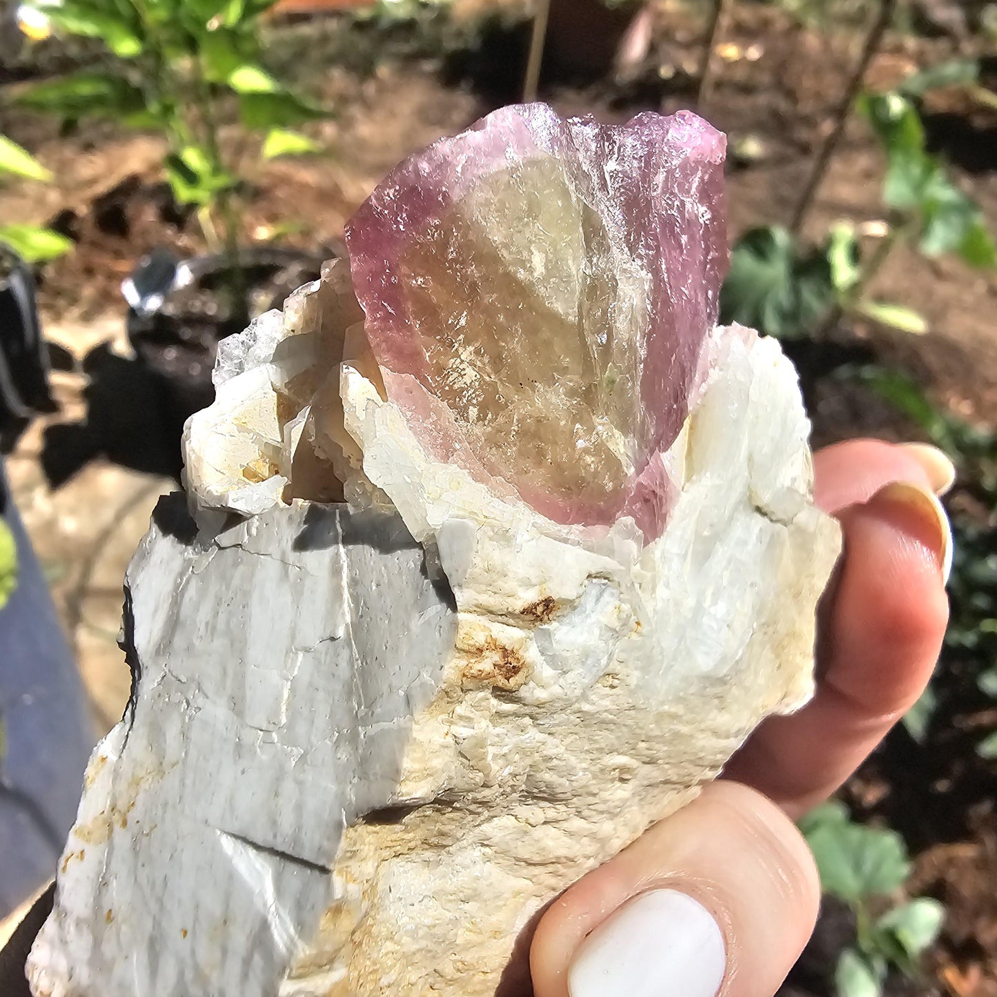 Himilaya Pink and Green Tourmaline, Himalaya Mine in California, w Lustrous Microline Feldspar & Cleavandite, Source Traced 90s Material